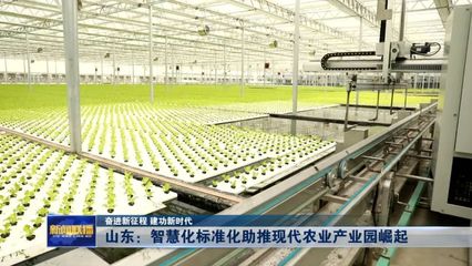 山東:智慧化標準化助推現代農業產業園崛起