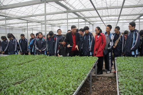 小康路上的溫州統戰人⑨ 林志寅 帶領更多新農人共助鄉村振興