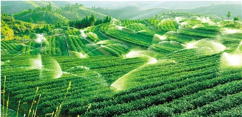 農(nóng)業(yè)生態(tài)循環(huán),浙江領(lǐng)跑全國(guó)