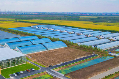 連云港海州:以奮進(jìn)之姿譜寫高質(zhì)發(fā)展新篇章