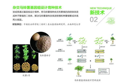 組圖丨31項農業農村重大新技術新產品新裝備發布