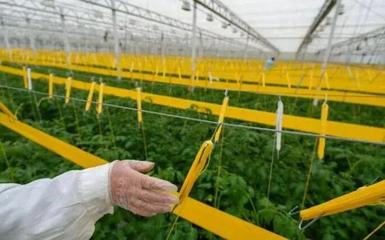 補(bǔ)貼上百萬!數(shù)字農(nóng)業(yè)工廠:智能化、自動化的農(nóng)業(yè)生產(chǎn)新模式