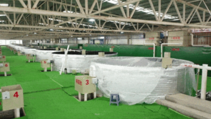 余慶縣:&ldquo;海鮮陸?zhàn)B&rdquo; 推動(dòng)綠色漁業(yè)發(fā)展