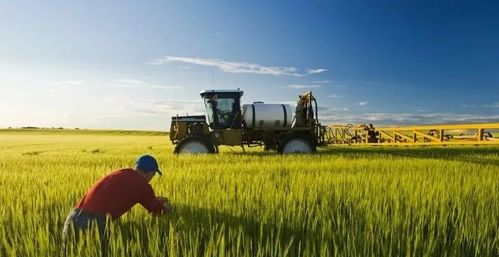 加拿大農(nóng)業(yè)食品行業(yè)移民試點計劃afip公布細則