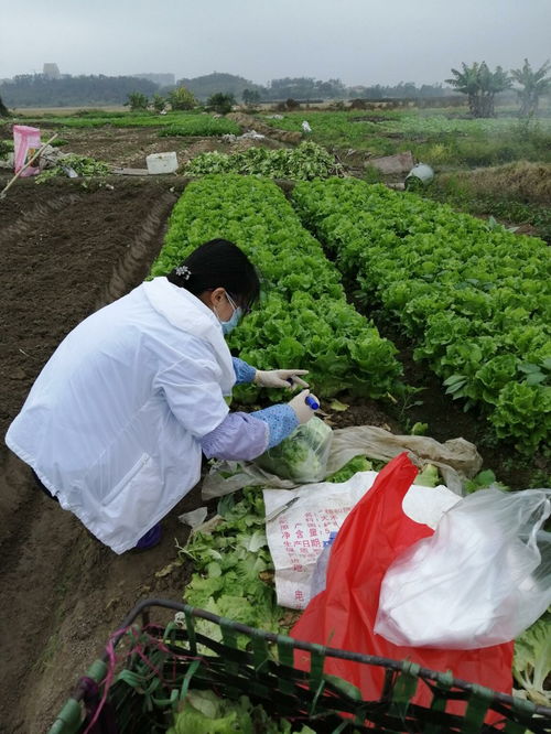 江門(mén)開(kāi)平市人民政府門(mén)戶(hù)網(wǎng)站