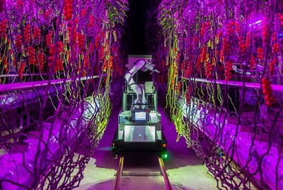 電裝與Certhon跨界創(chuàng)新實(shí)踐 Artemy機(jī)器人 開(kāi)啟農(nóng)業(yè)工廠(chǎng)化時(shí)代