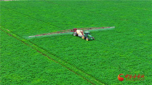 民樂 構(gòu)建現(xiàn)代農(nóng)業(yè)產(chǎn)業(yè)體系 促進(jìn)農(nóng)業(yè)產(chǎn)業(yè)升級