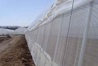 【廠家生產(chǎn)聚乙烯網(wǎng)帶包裝 防蟲網(wǎng) 窗紗網(wǎng)(圖)】價(jià)格_廠家_圖片 -