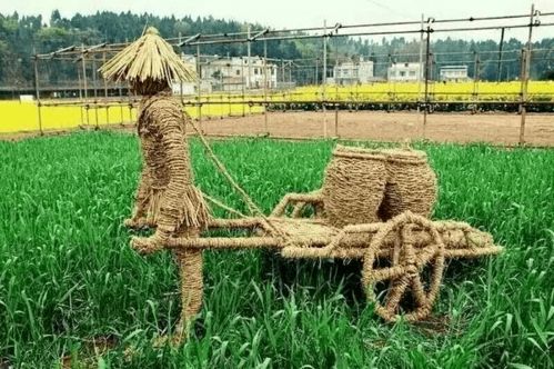 河北省農(nóng)業(yè)農(nóng)村廳推出11條休閑農(nóng)業(yè)精品線路，助力農(nóng)業(yè)旅游發(fā)展