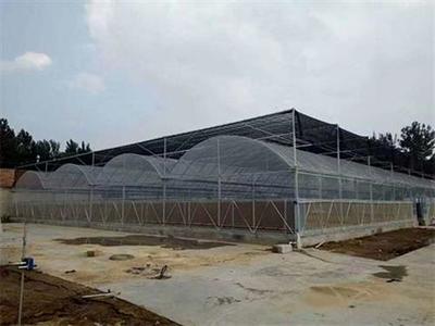 宏陽(yáng)溫室大棚 昆明農(nóng)業(yè)大棚廠家直銷的優(yōu)質(zhì)選擇
