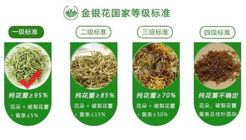 廣西巴馬意生活生態(tài)農(nóng)業(yè)產(chǎn)品正式上市 健康農(nóng)業(yè)新標(biāo)桿，綠色生活新風(fēng)尚