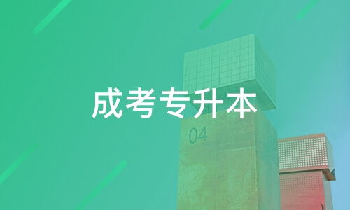 東莞圣賢教育與淘學(xué)培訓(xùn)深度解析 選擇教育咨詢(xún)服務(wù)需謹(jǐn)慎