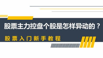 投資者教育咨詢 打造個人頻道，開啟智慧理財新篇章